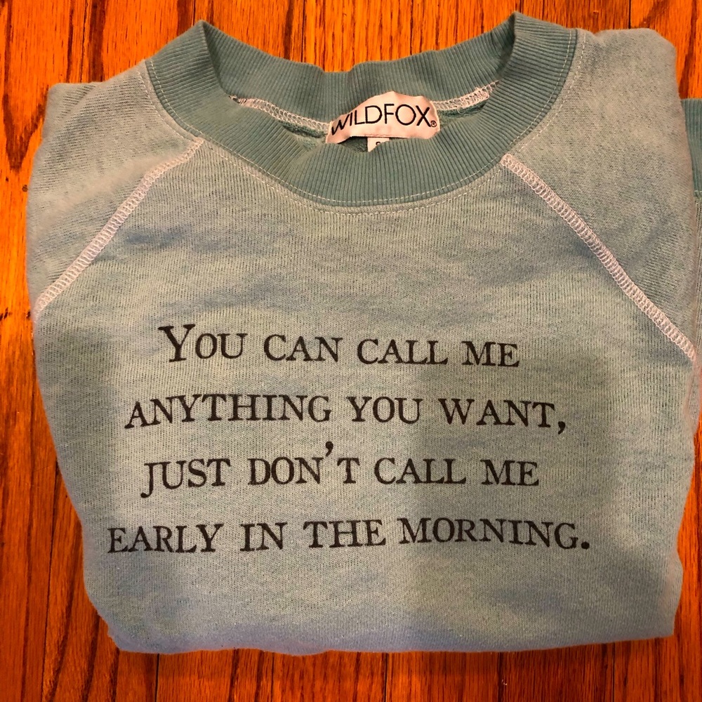 Wildfox You can call me anything you want Sweatshirt Small S teal